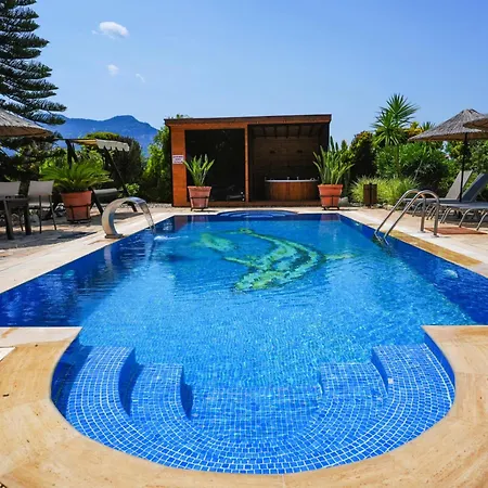Dalyan Nike-1 *